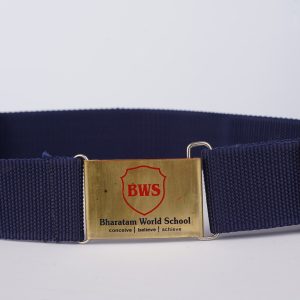 BWS Belt
